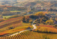 Veneto Region Wine Tour Indulging Tradition photo 3