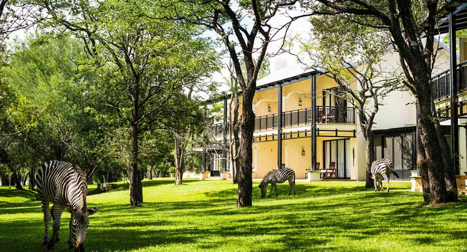 Royal Livingstone photo 352