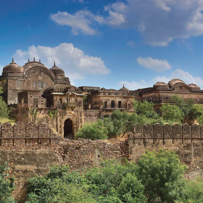 Six Senses Fort Barwara photo 2