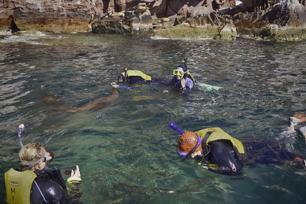 Sea Of Cortez Sampler photo 2