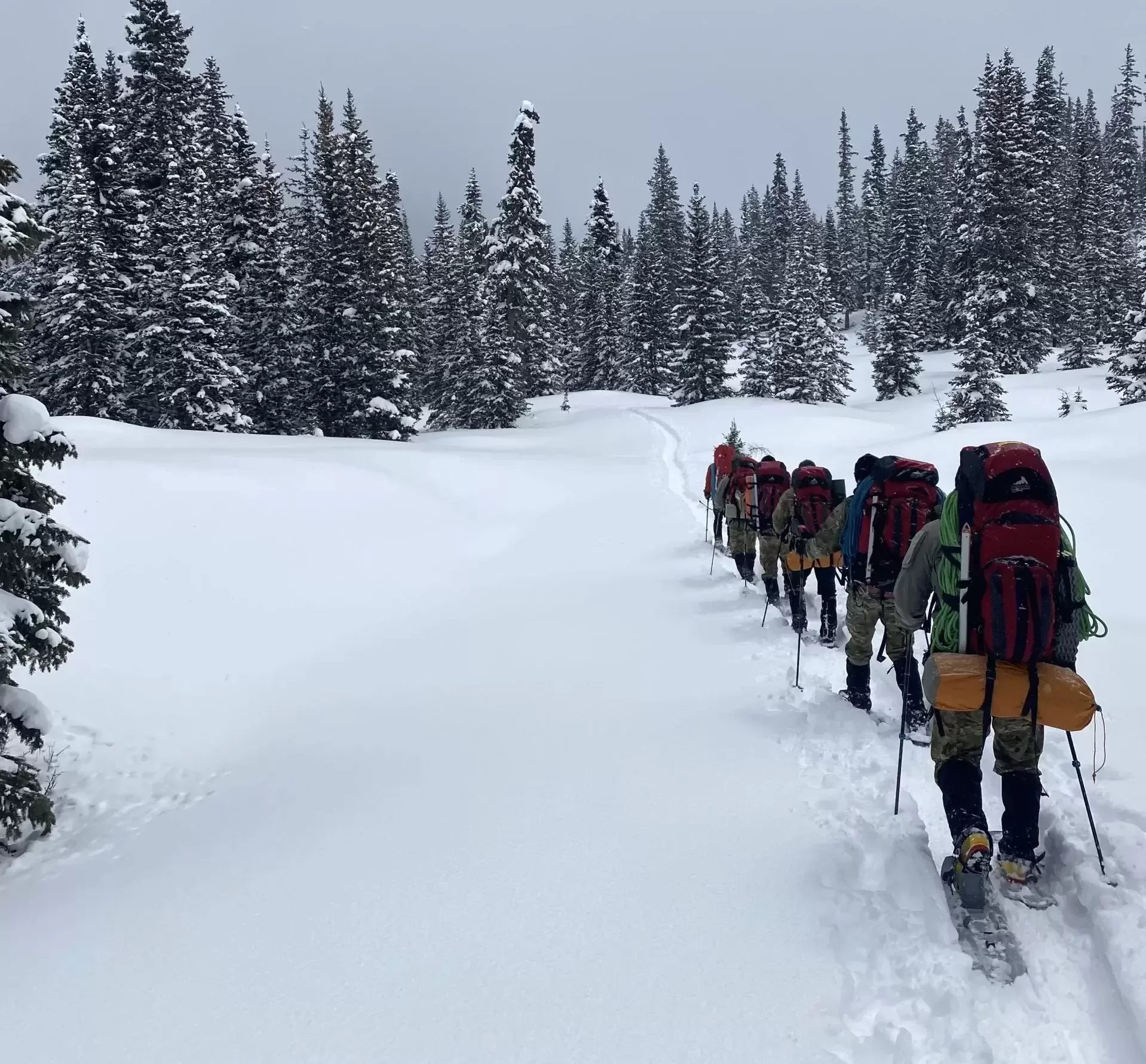 Basic Glacier Mountaineering photo 2