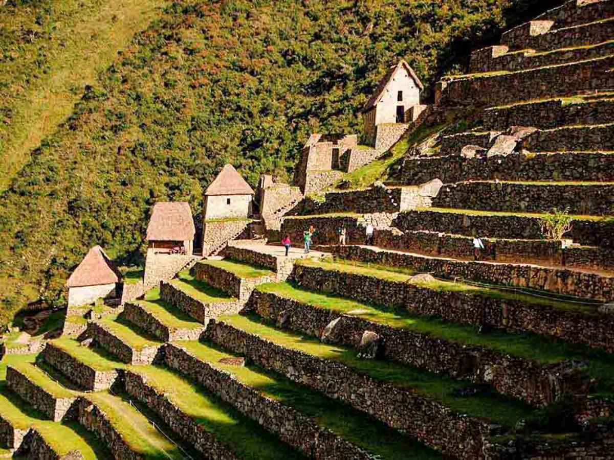 Inca Trail The Amazon Rainforest photo 4