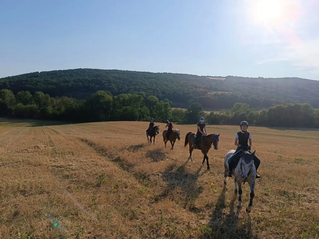 Explore Tuscany photo 1