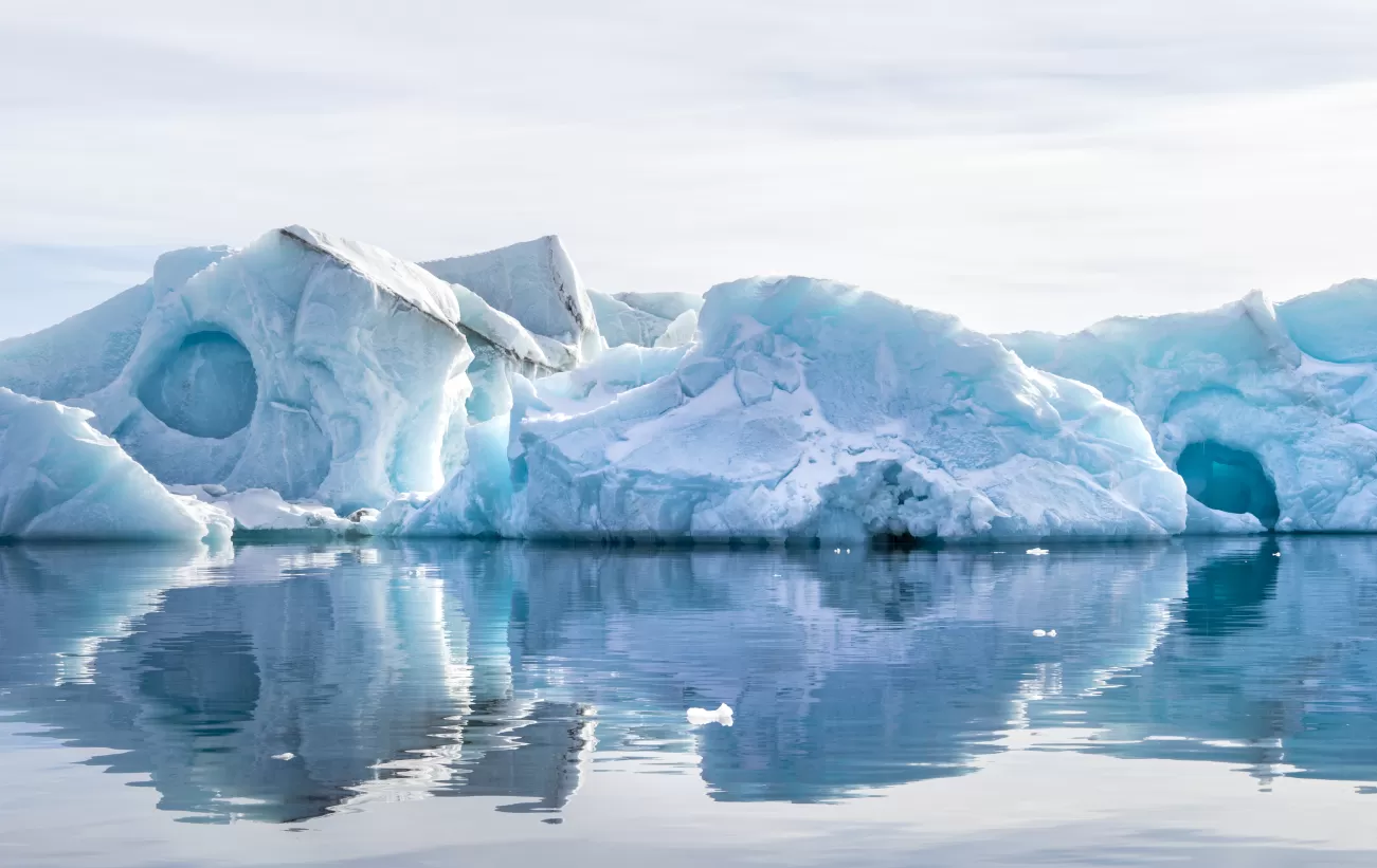 Antarctica Direct Sail And Fly The Drake Passage photo 2