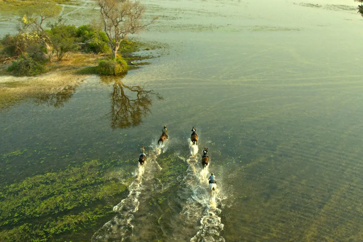 Okavango Safari photo 1