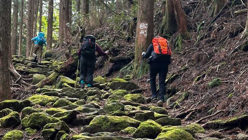 Kumano Kodo Self Guided Hike 6 Days photo 2