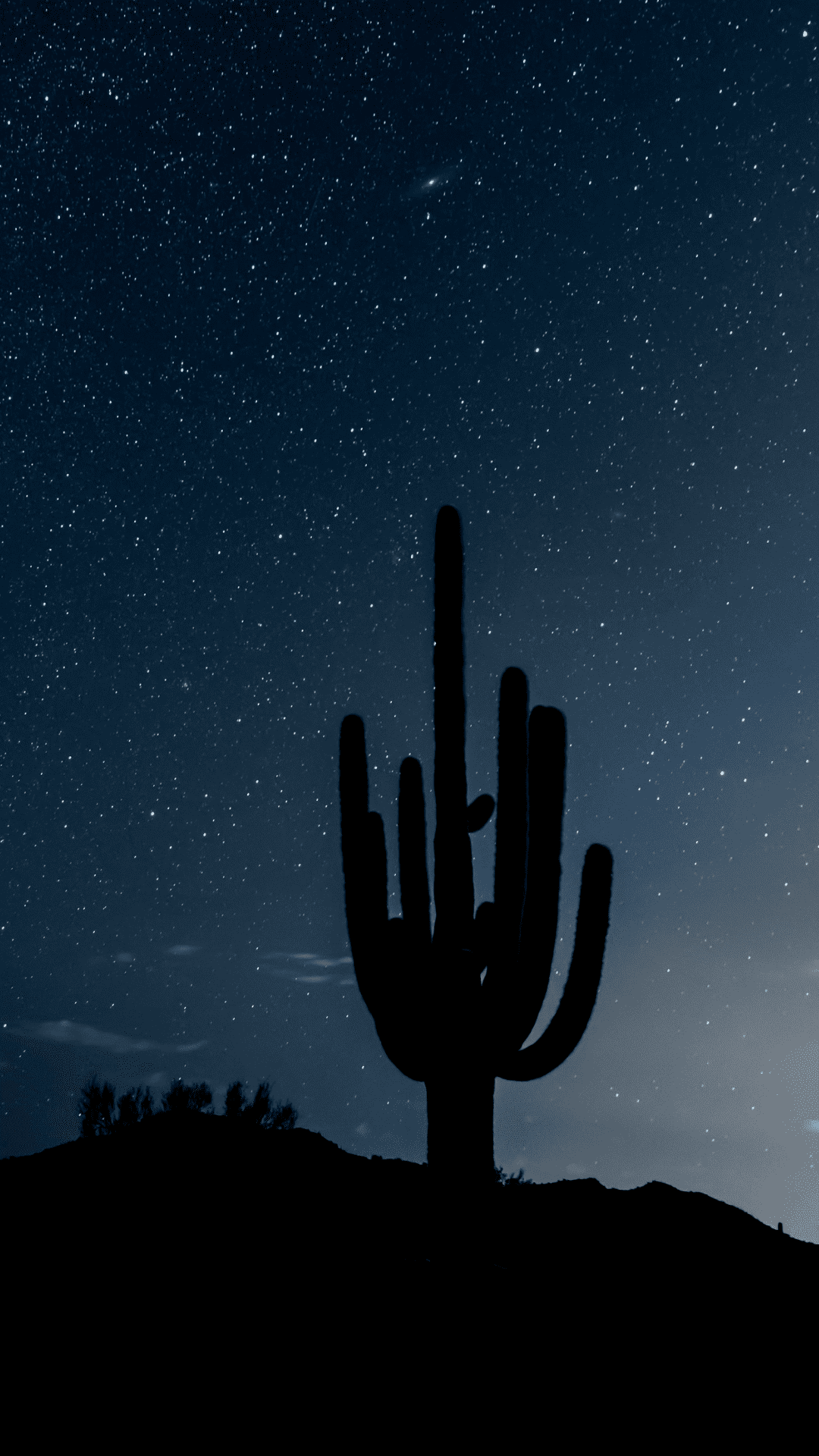 Miraval Arizona photo 2