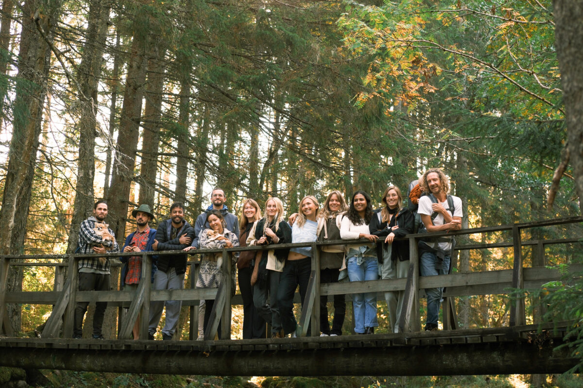 Volunteer At Shambala photo 3