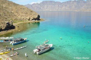 Sea Of Cortez Sampler photo 1