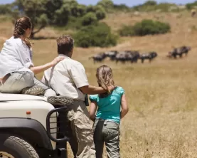 GeoEx African Safaris & Treks photo 3