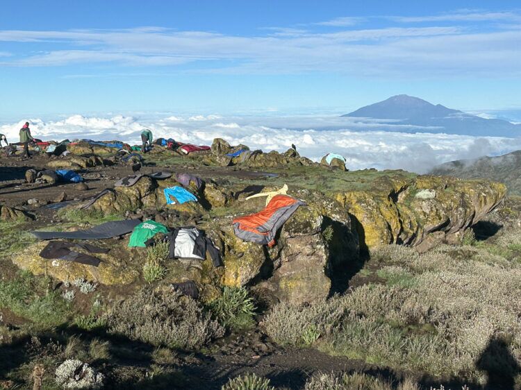 Mount Kilimanjaro Alumni photo 2