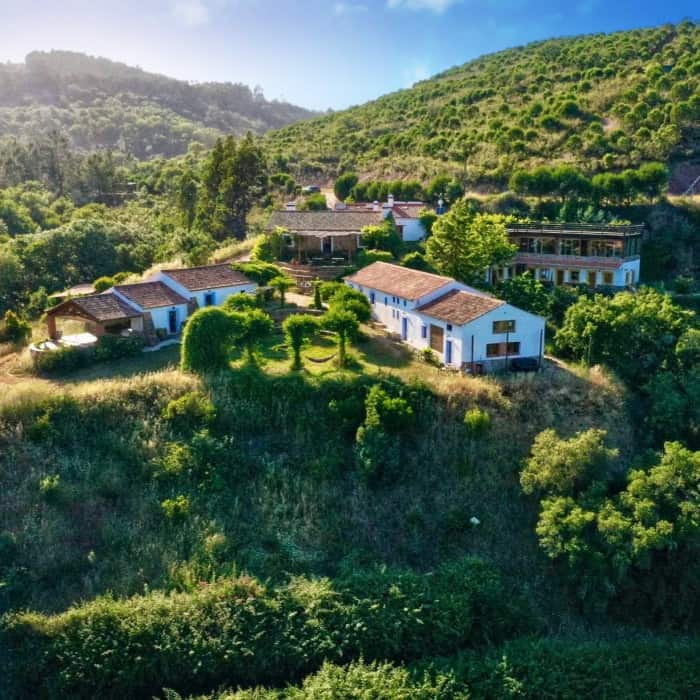 Yang Sheng Portugal photo 1