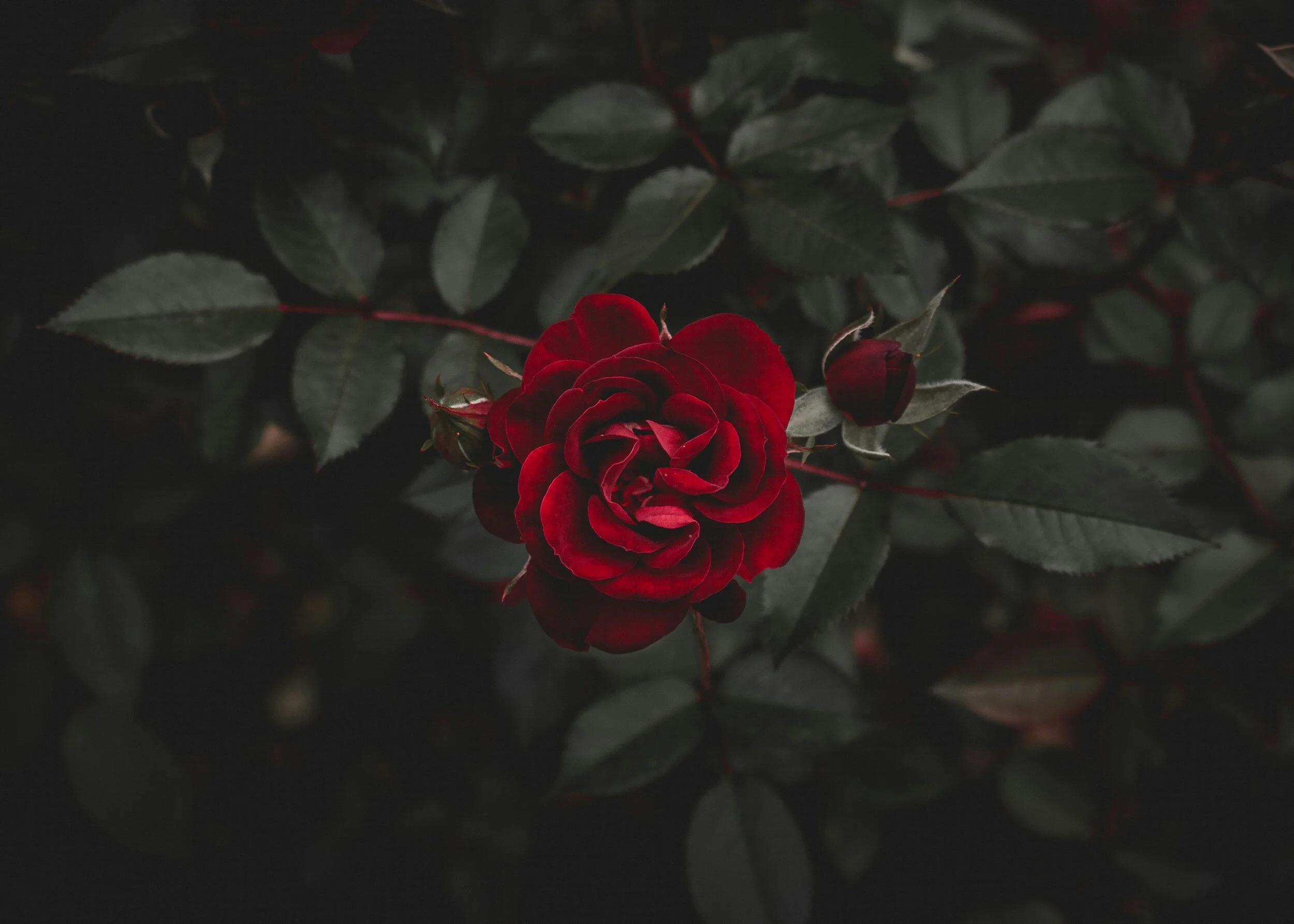 Uplevel Your Radiance photo 389