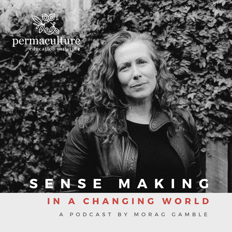 Sense-Making in a Changing World photo 1