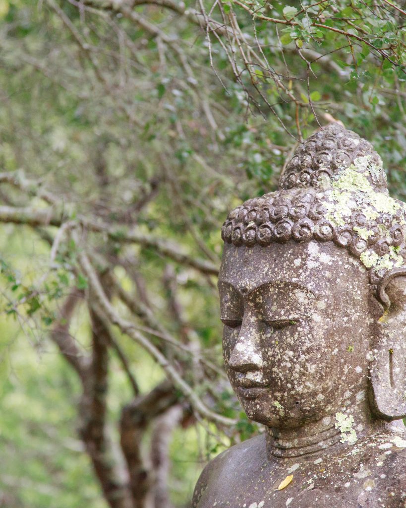 Natural Awareness Resting In Effortless Presence photo 311