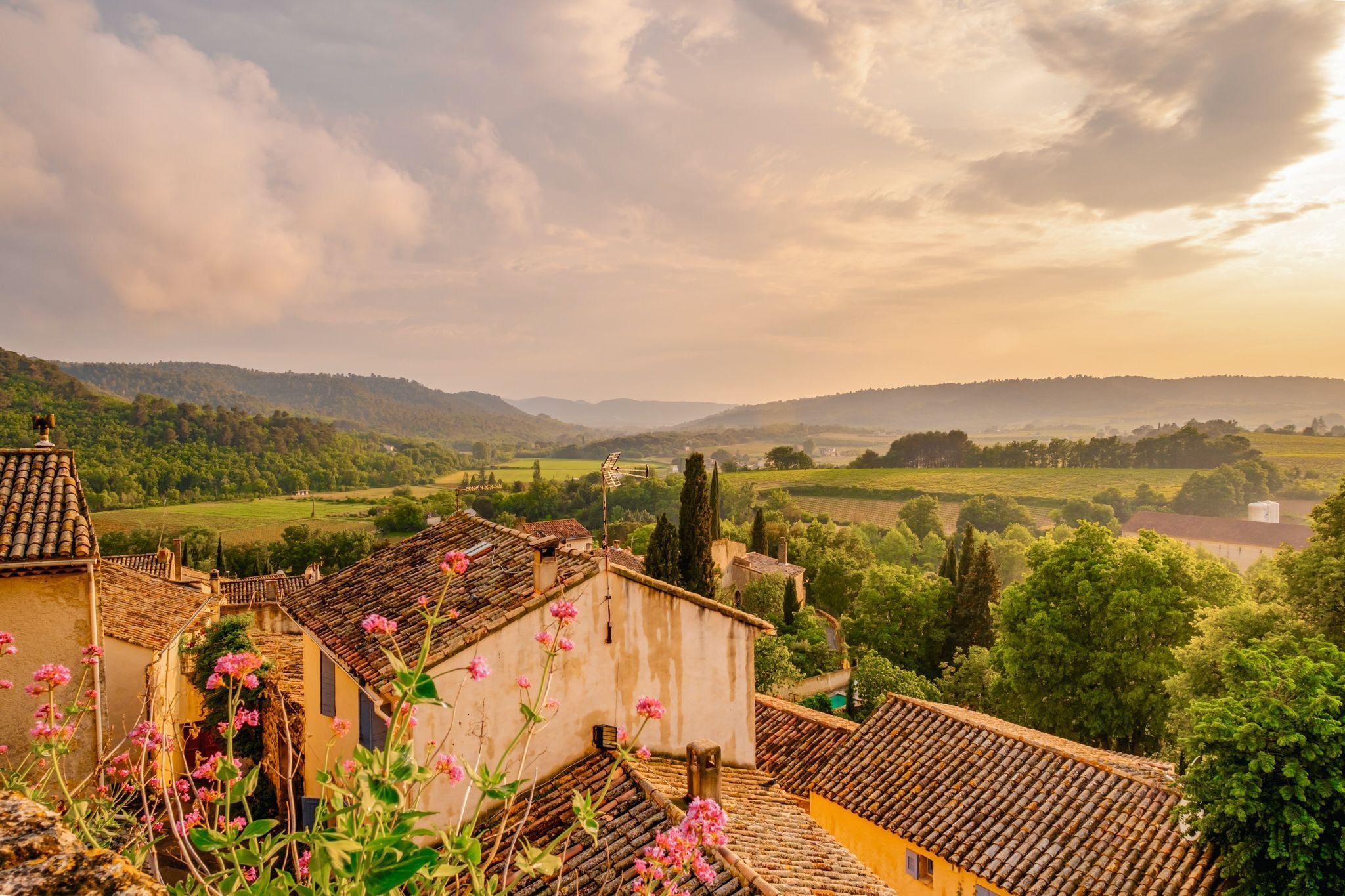 Celebrating Southern France photo 2
