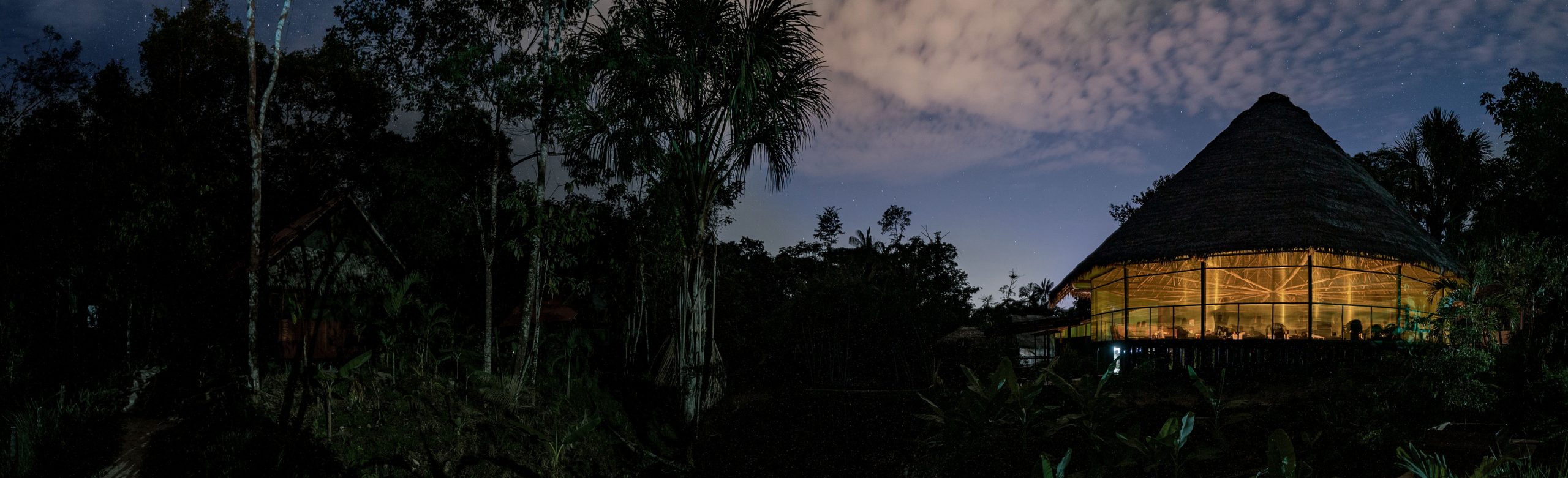 Ayahuasca Healing And Integration Retreat photo 1
