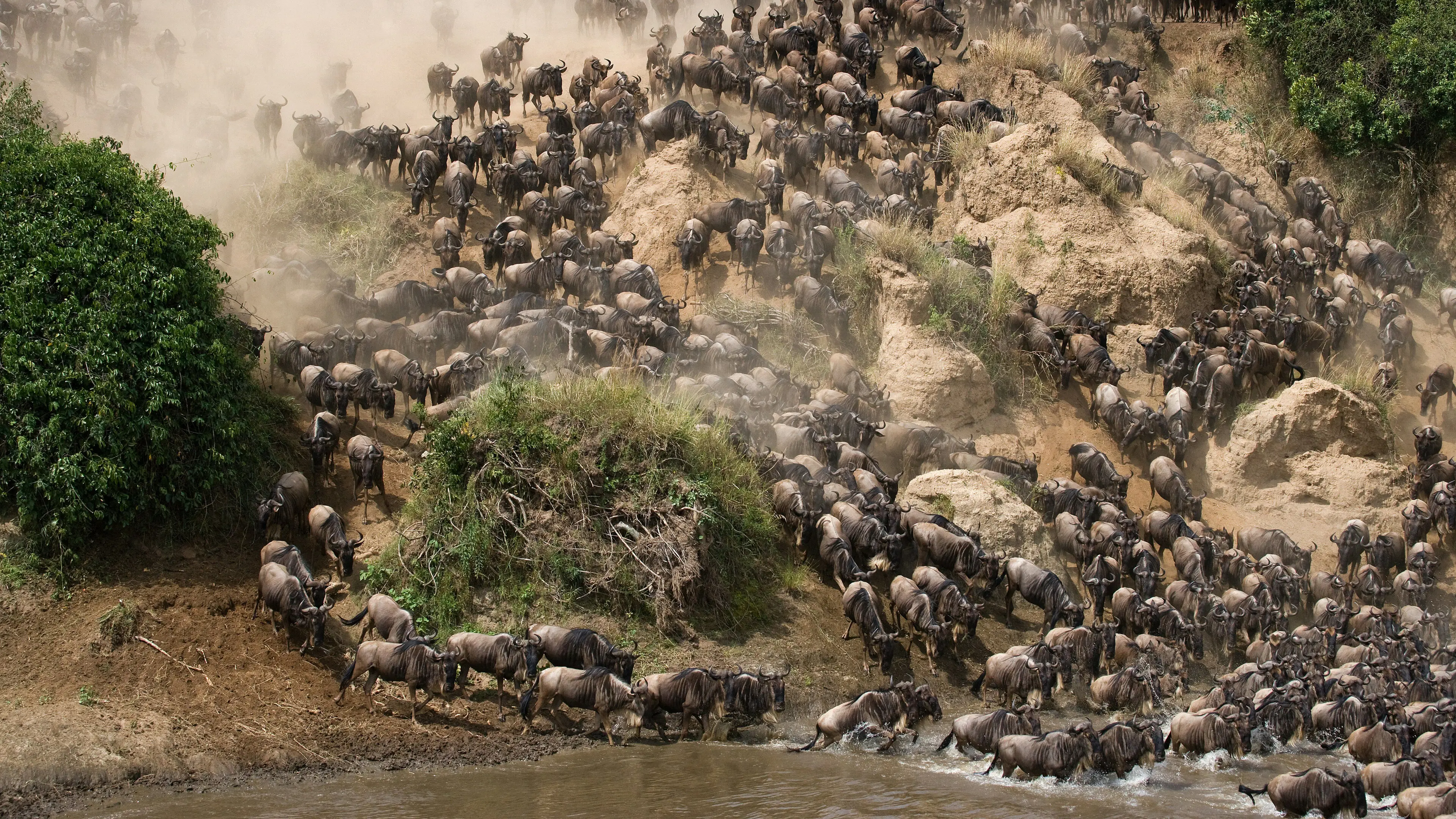 East Africas Great Migration photo 2