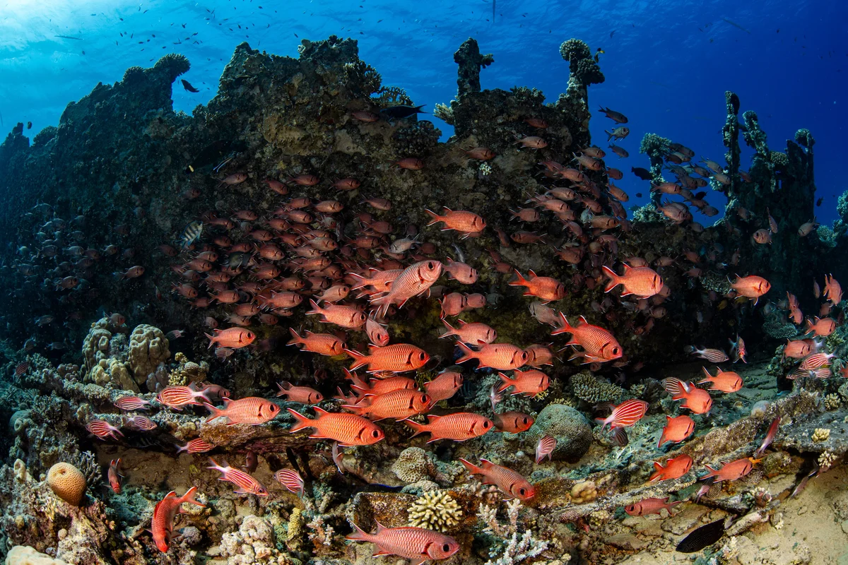 Master Galapagos 7 Nights photo 1