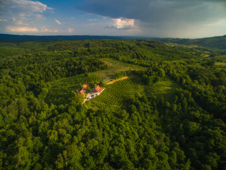Forest Escape Yoga Retreat Croatia photo 1