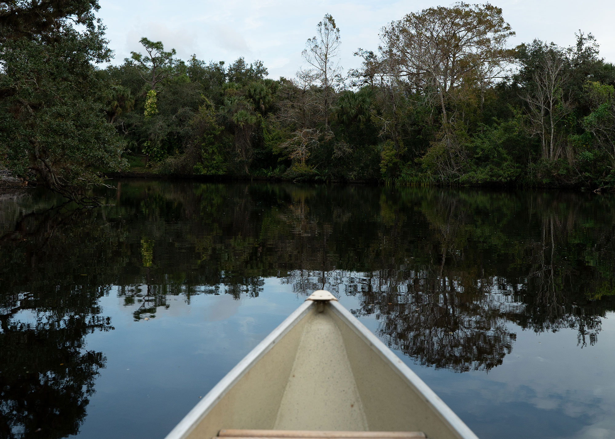 Wellness Retreat photo 2