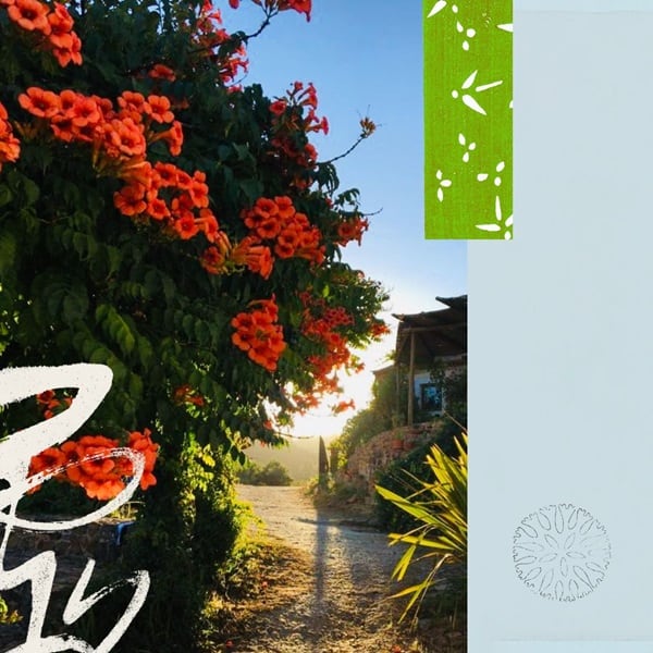 Yang Sheng Portugal photo 2