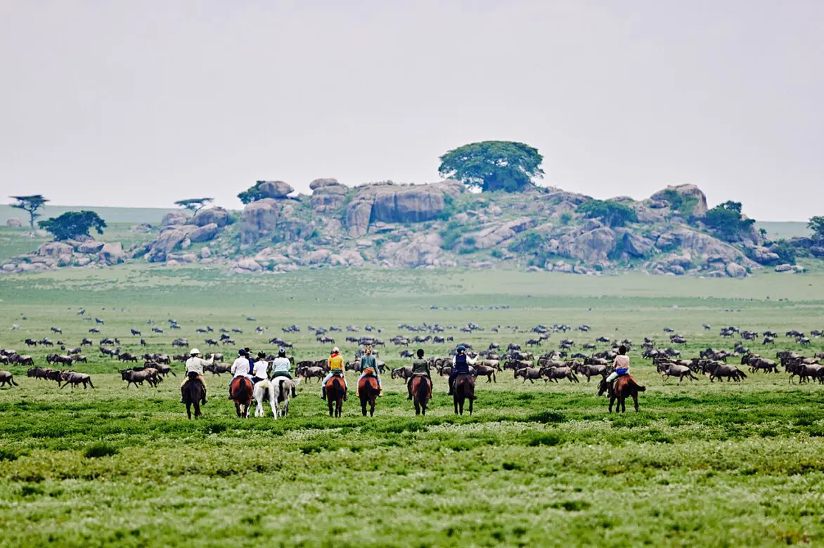 Serengeti Migration Ride photo 2