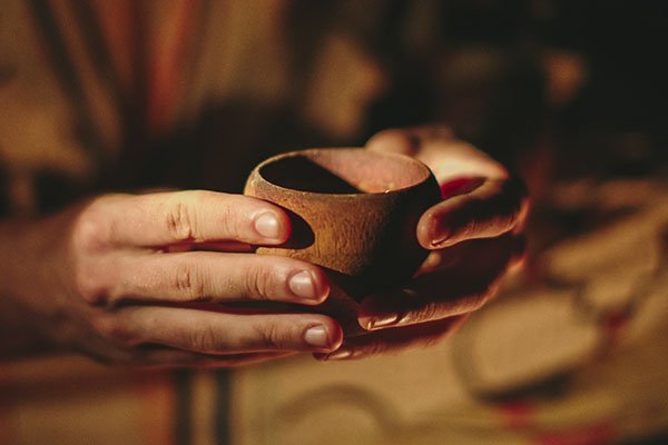 10 Day Ayahuasca Retreat photo 3