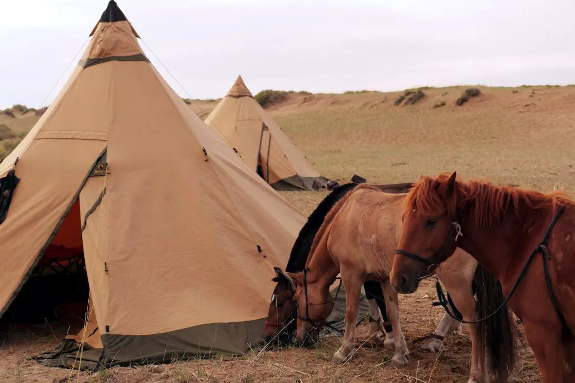 Mongol Horse Trails photo 383