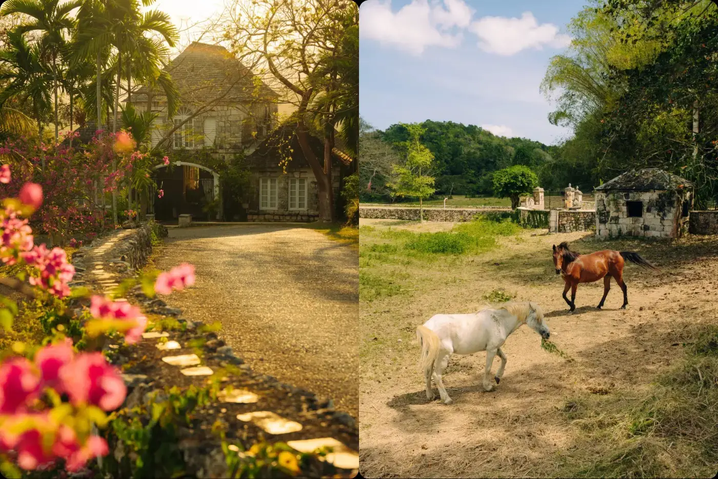 Jamaica Sanctuary For Women Of Color Waitlist photo 2