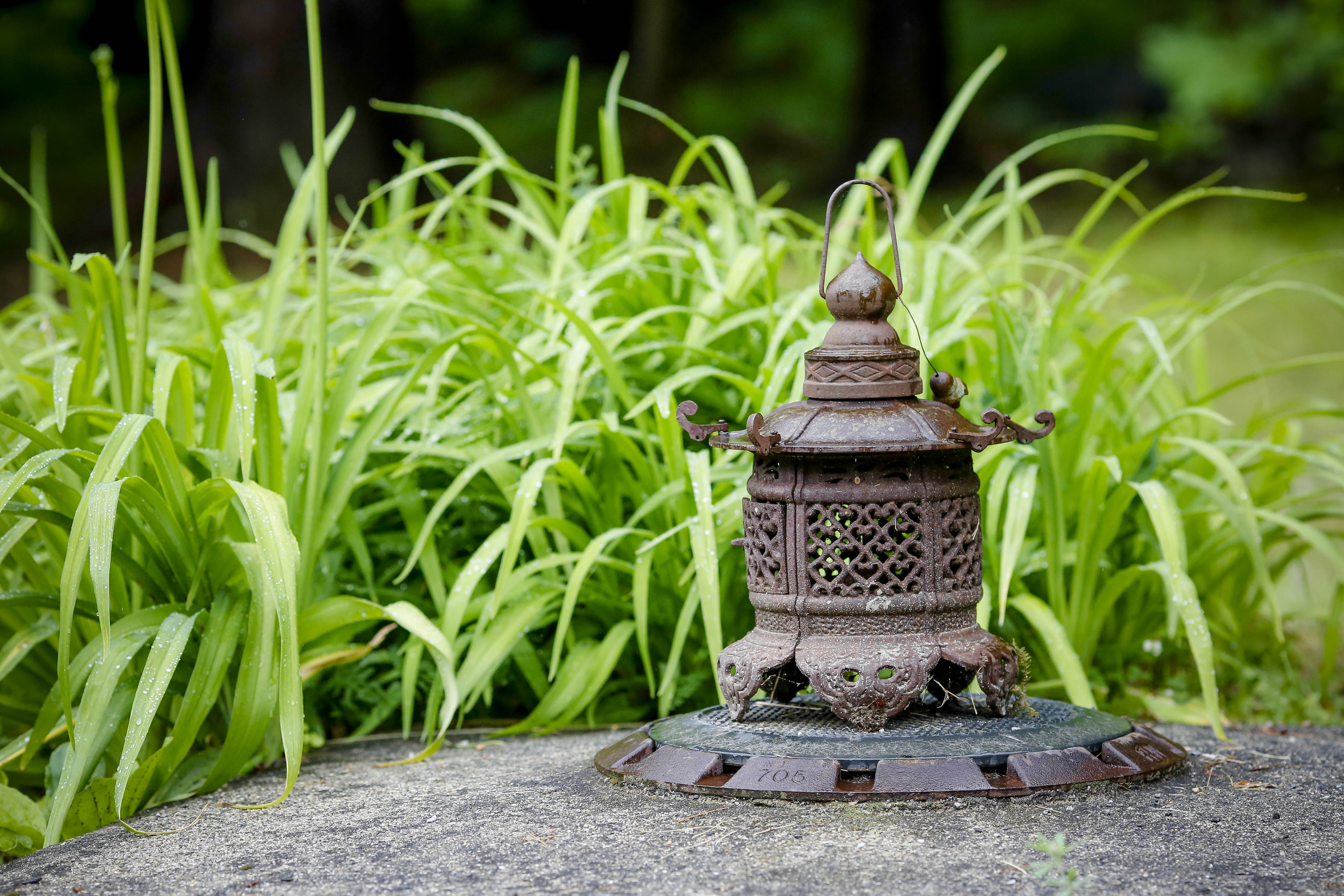 Metta Meditation Retreat Center - Loving-Kindness Programs photo 3
