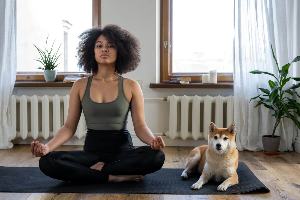 8 Week Online Mindfulness Course photo 2