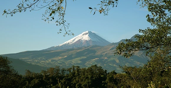 Advivum Journeys Europe photo 2