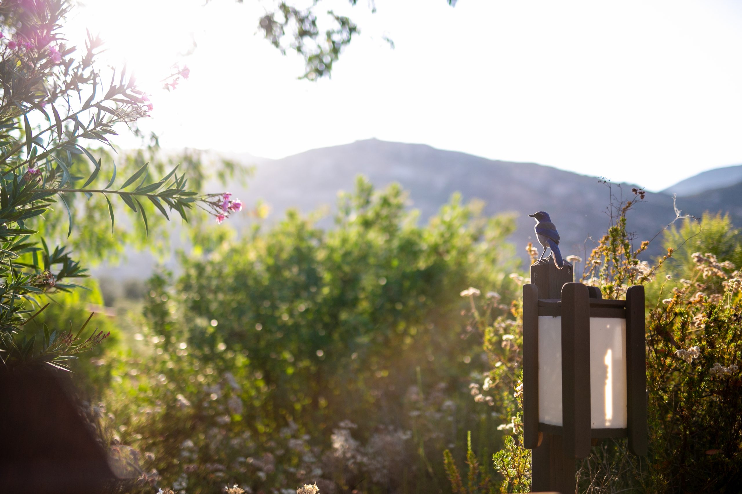 Nurturing Abundance Week photo 3