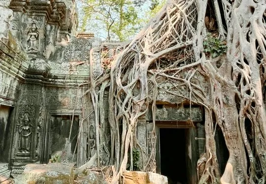 Shinta Mani Angkor photo 2