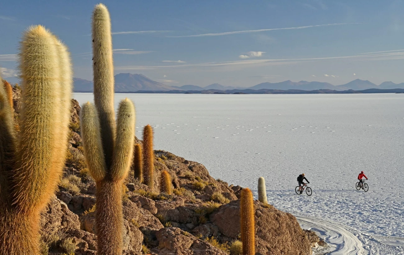 Atacama To Uyuni Salt Flat Crossing photo 1