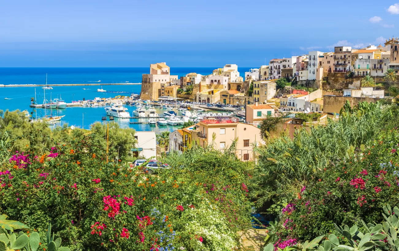 Mediterranean Cruises and Tours photo 2