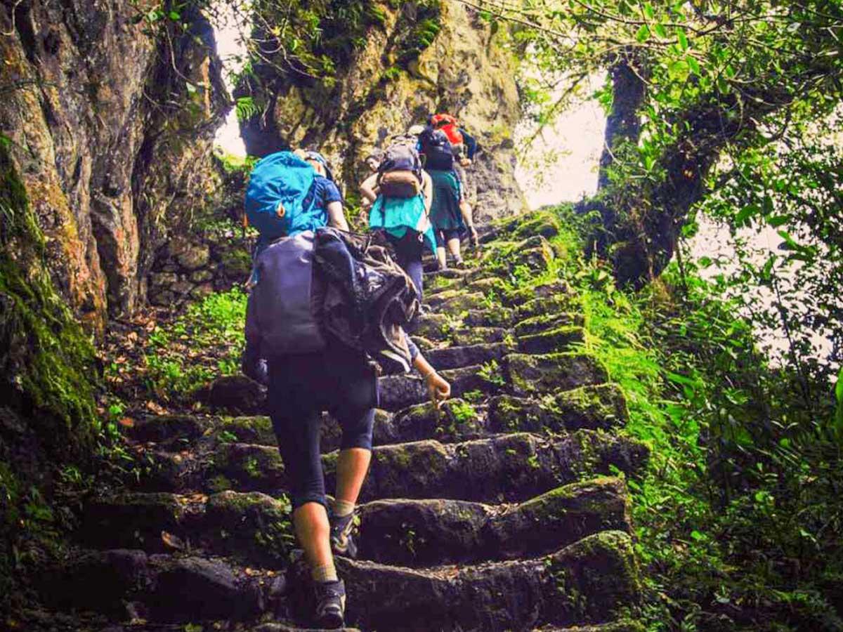 Inca Trail The Amazon Rainforest photo 2