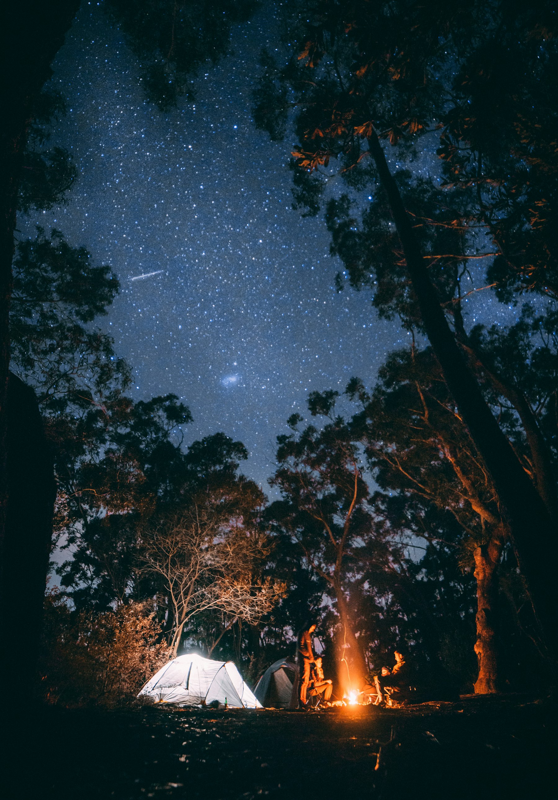 Higher Love Summit photo 2
