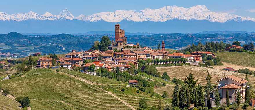 Veneto Region Wine Tour Indulging Tradition photo 4