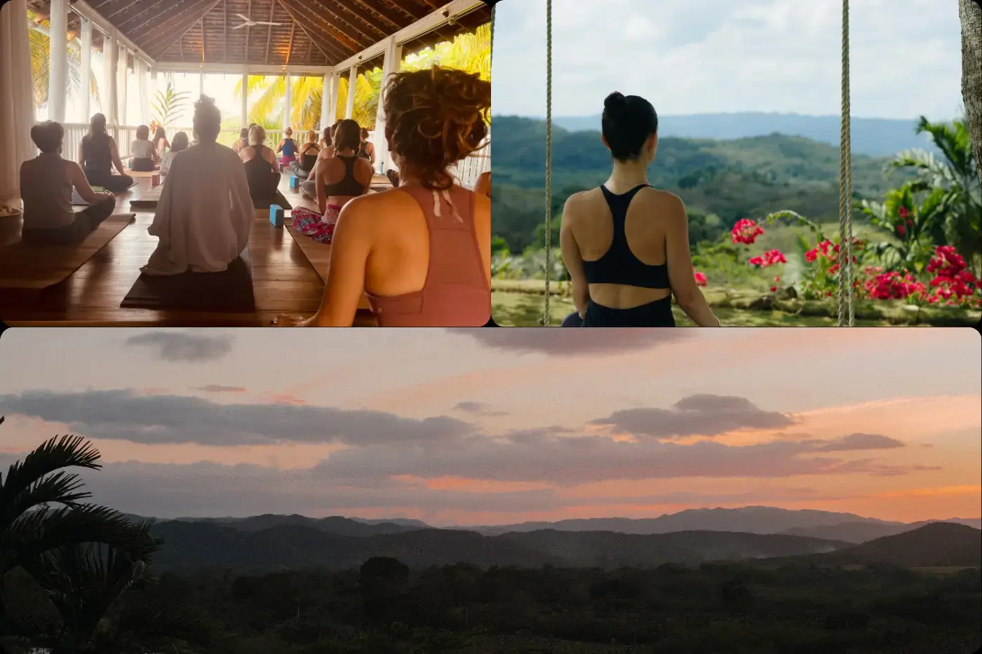 Jamaica Sanctuary For Women Of Color Waitlist photo 3