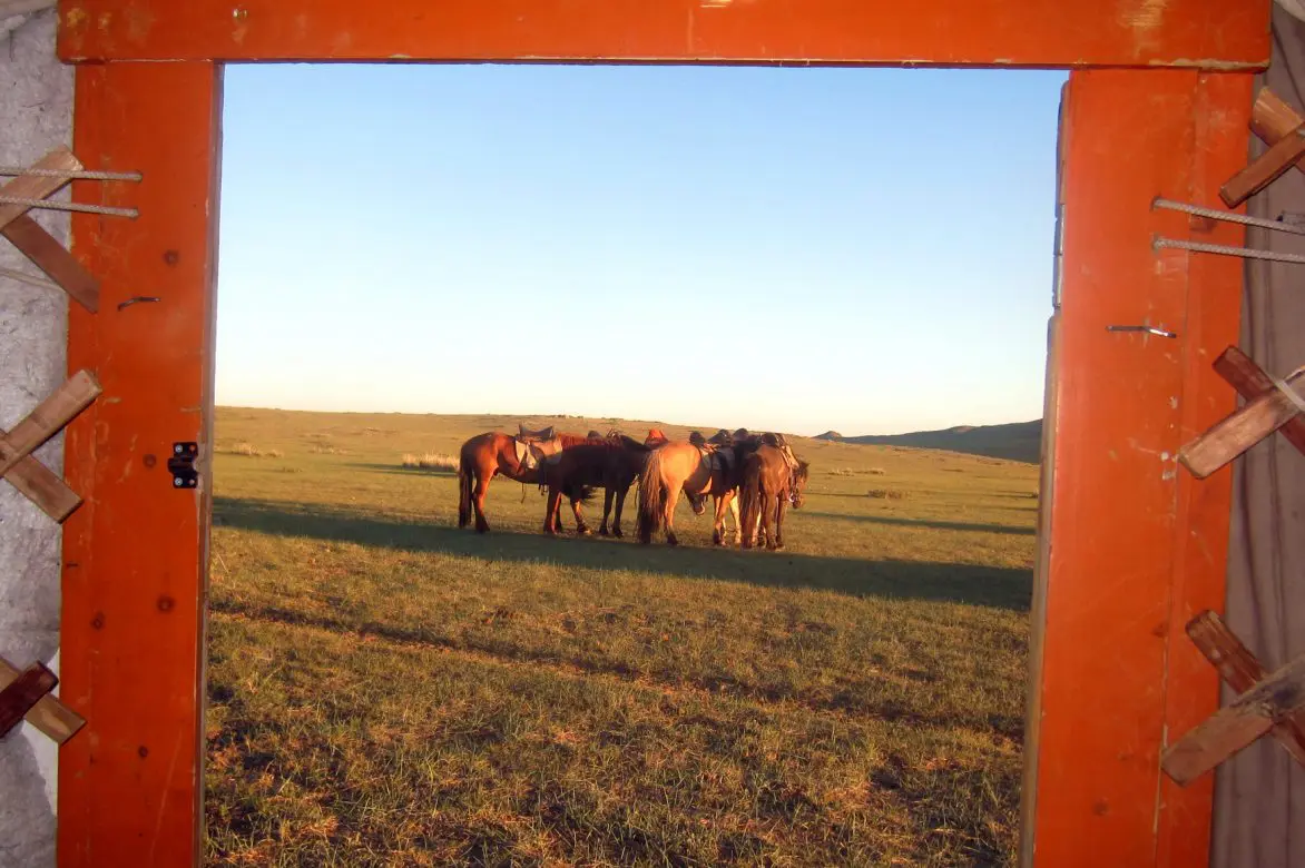 Mongol Horse Trails photo 364
