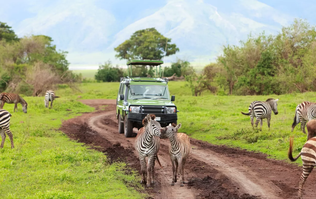 GeoEx African Safaris & Treks photo 1