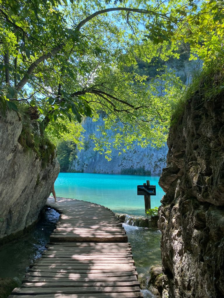 Forest Escape Yoga Retreat Croatia photo 3