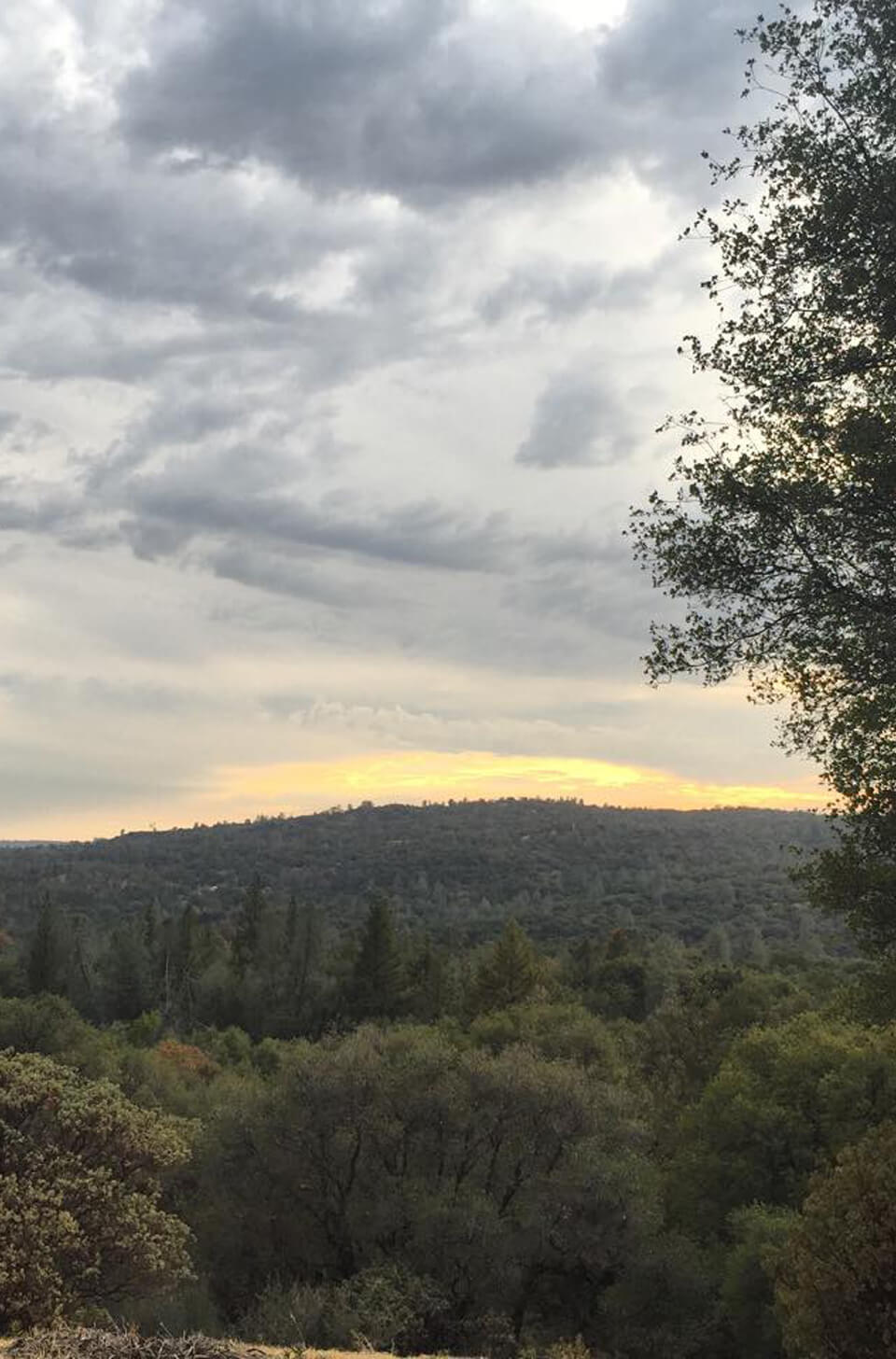 Art Of Breathwork For Wellness And Stress Reduction photo 350