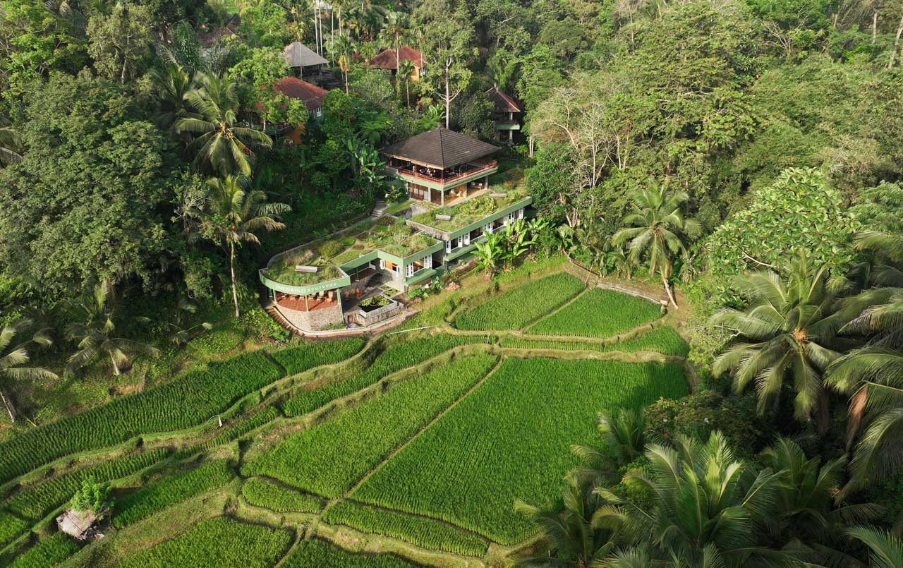 Panchakarma Detox Program photo 3