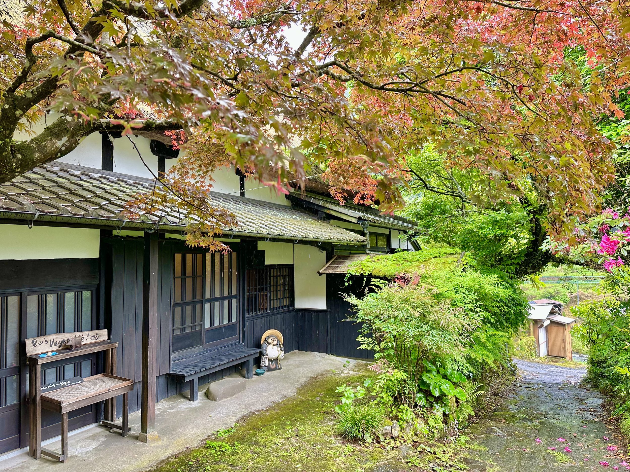 Kunisaki Retreat photo 1