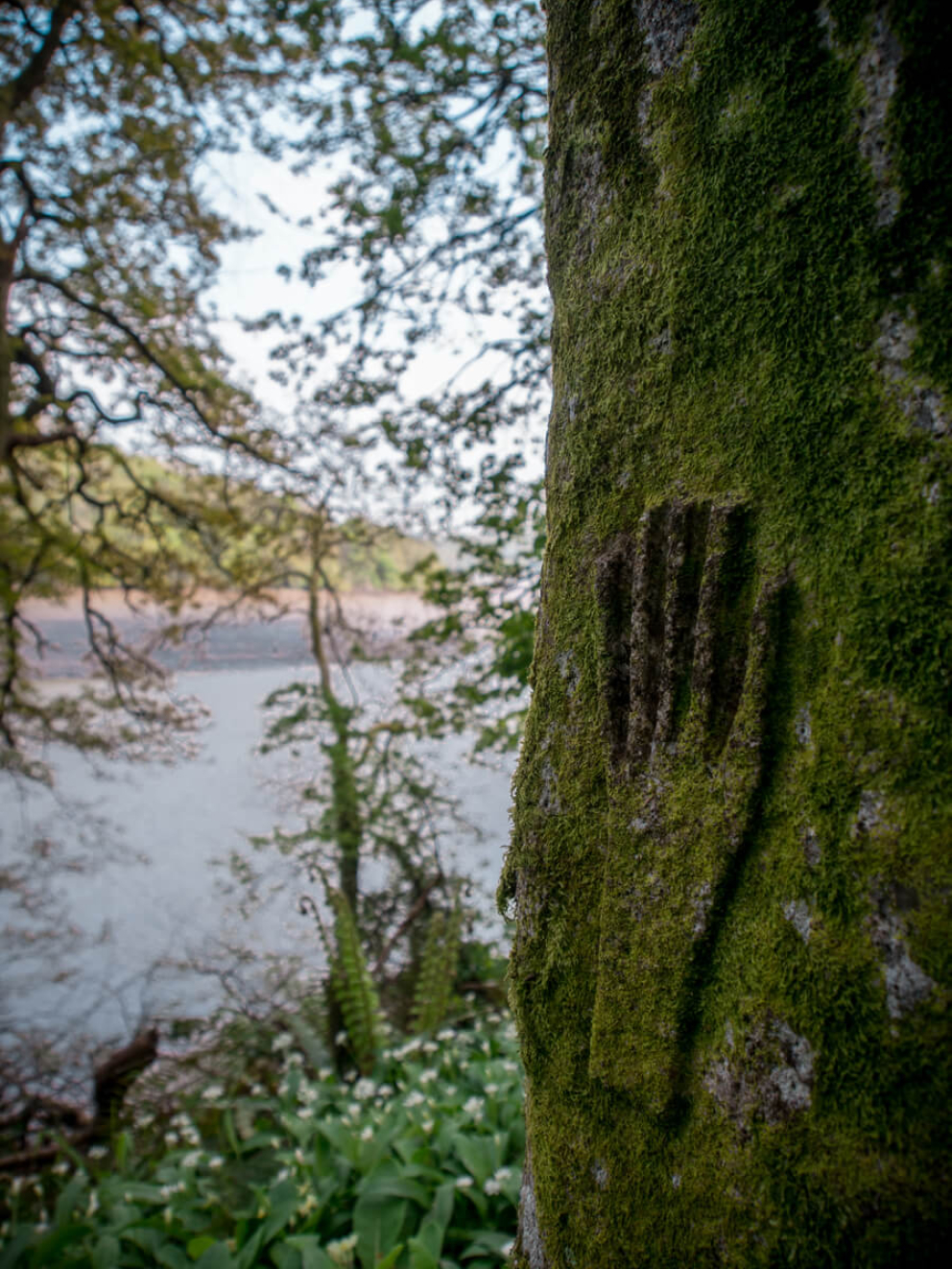 Buddhist Meditation Retreat Belonging photo 3