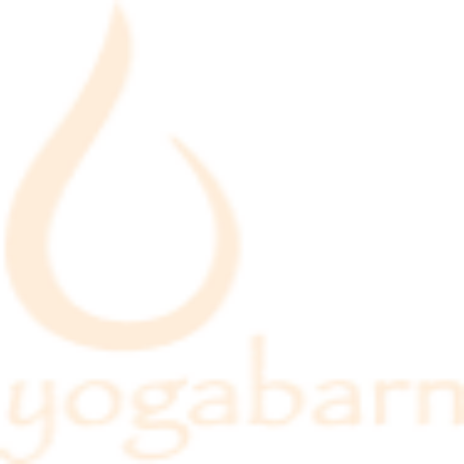 The Yoga Barn photo 1