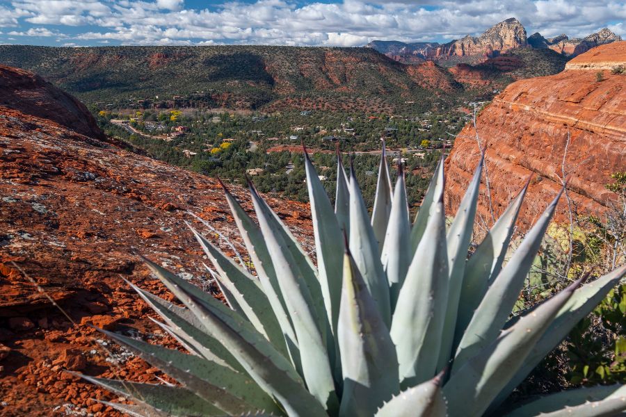 Retreat Sedona Az photo 3